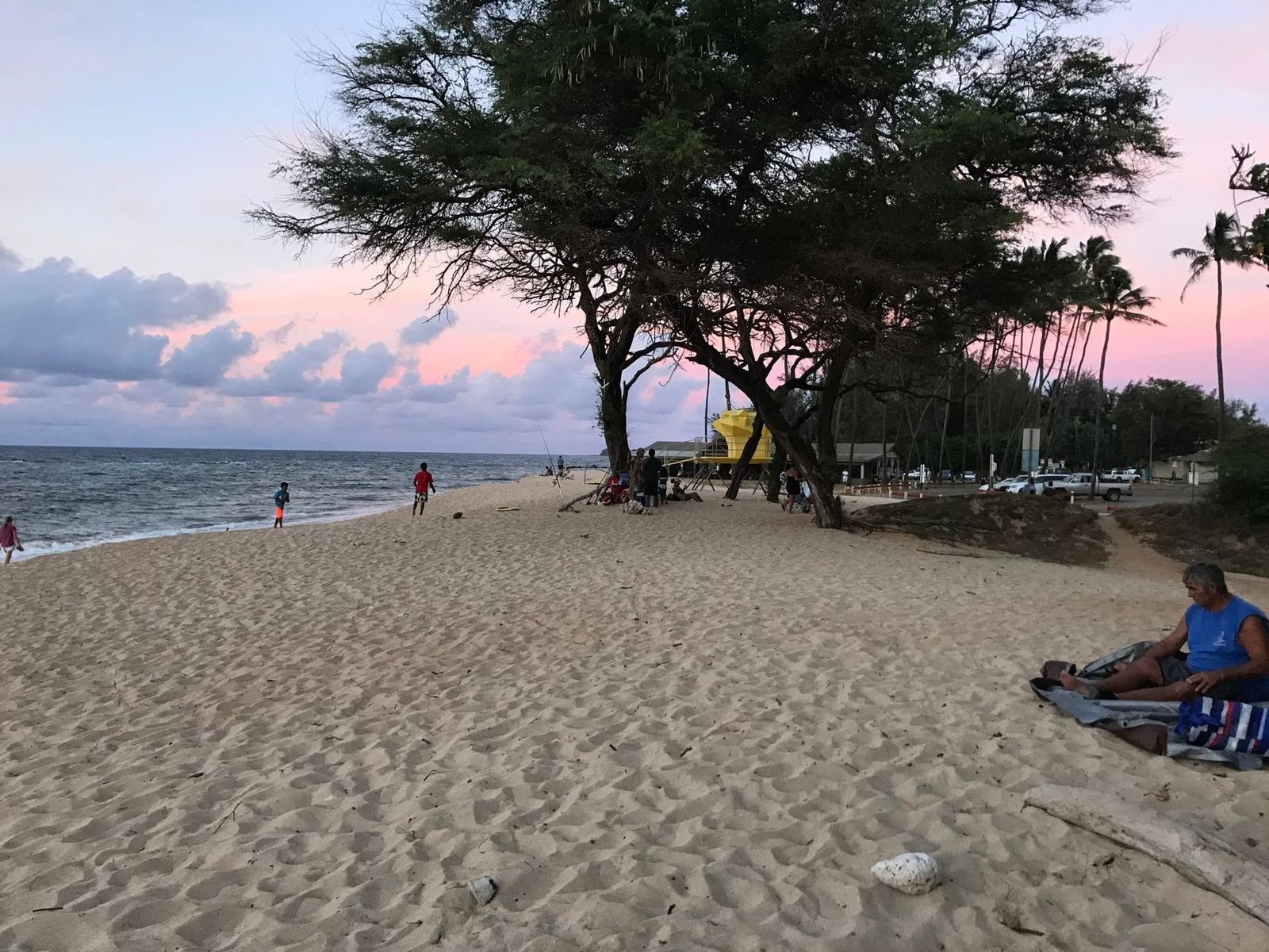 Baldwin Beach on a clear day with people under the trees along the sand.