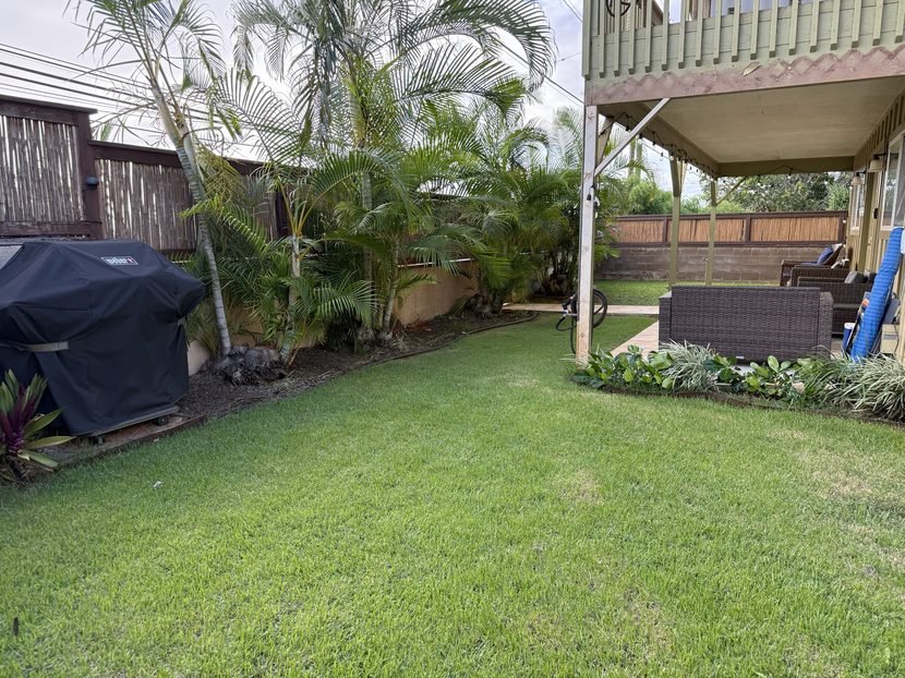 The back lawn with palms along the fence, the covered BBQ and lanai seating under the deck.