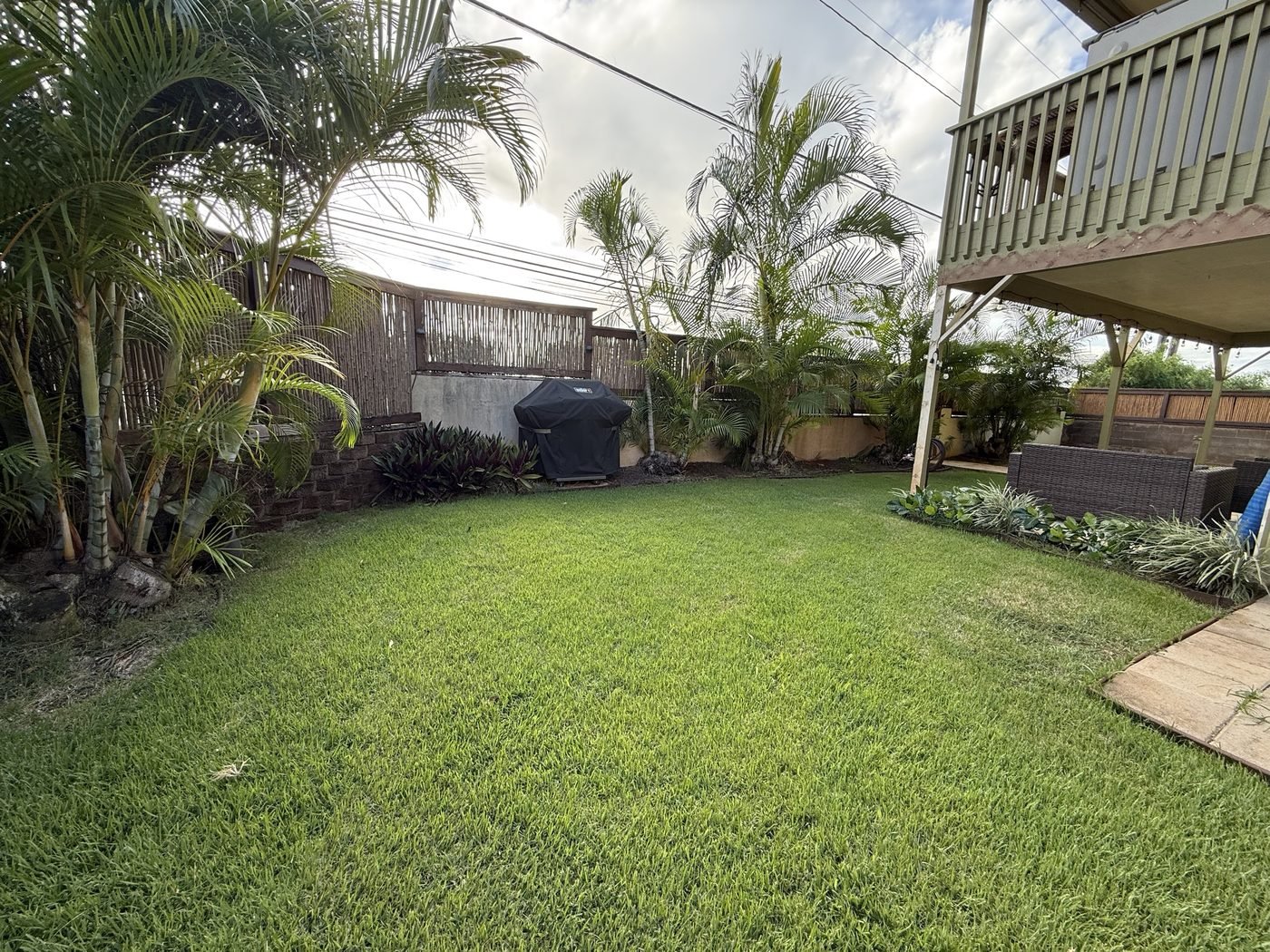 The wide fenced back lawn lined with palms, with the covered BBQ against the fence.