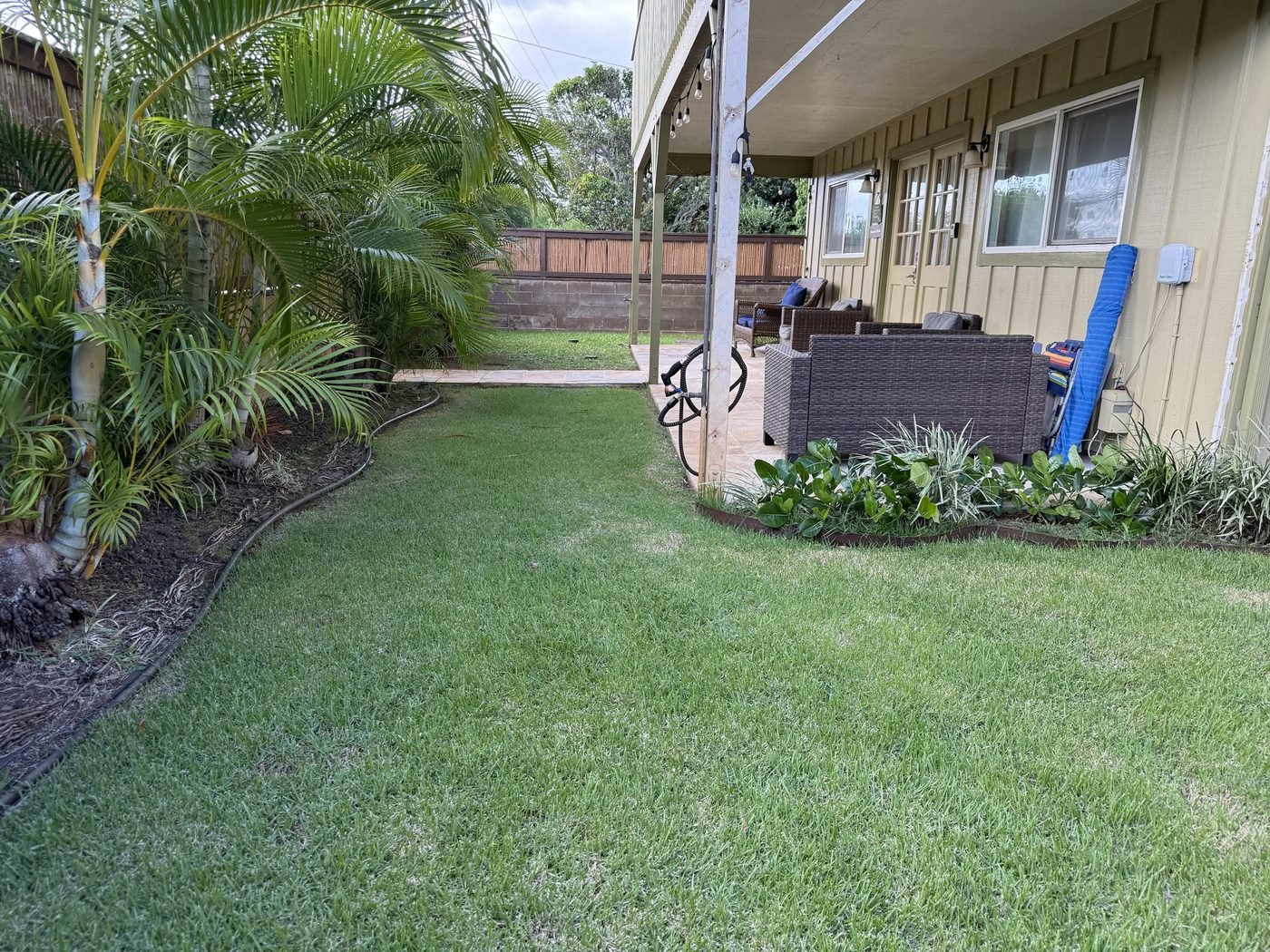 The lawn running beside the palms to the covered lanai, with wicker seating and the studio doors.